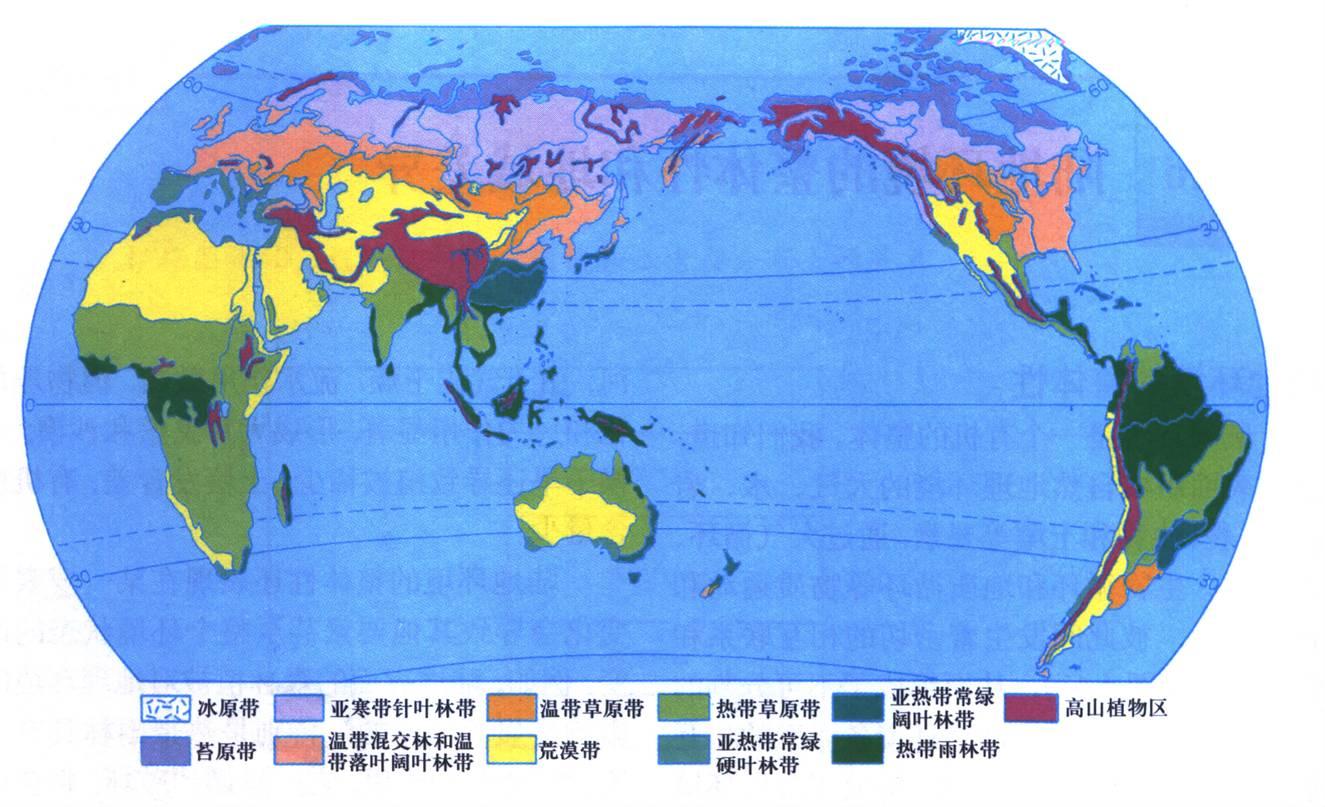 世界地图书包版